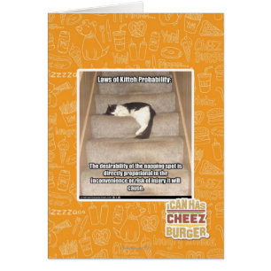 Laws of Kitteh Probability