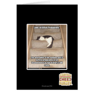 Laws of Kitteh Probability