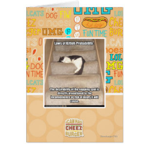 Laws of Kitteh Probability