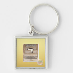 Laws of Kitteh Probability Key Ring