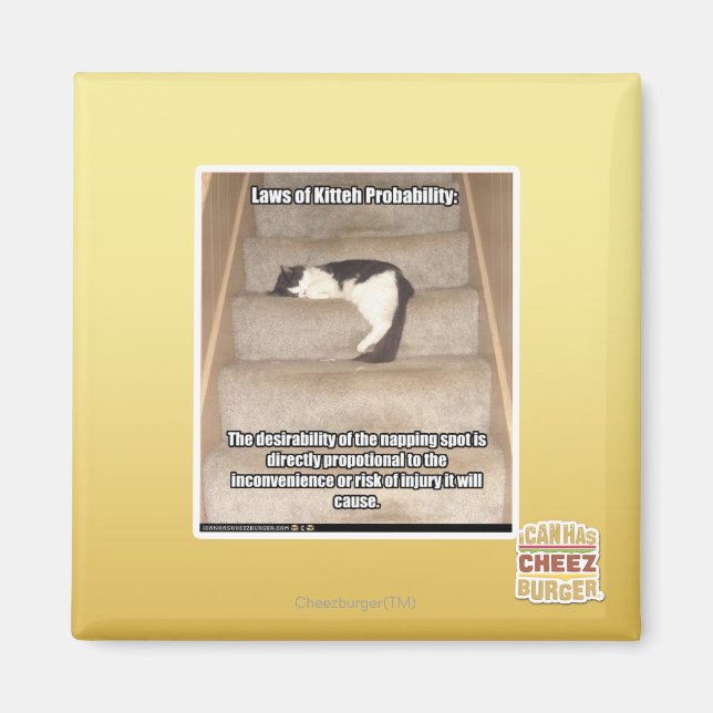 Laws of Kitteh Probability Magnet (Front)