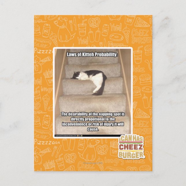 Laws of Kitteh Probability Postcard (Front)