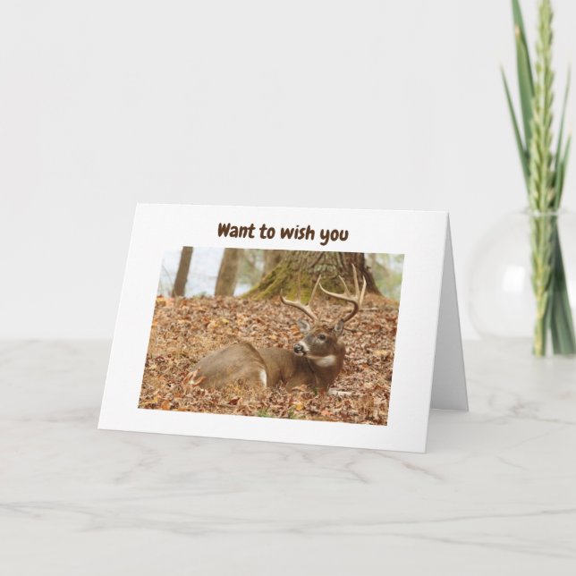 LAYED BACK DEER SAYS HAPPY 60th BIRTHDAY Card (Front)