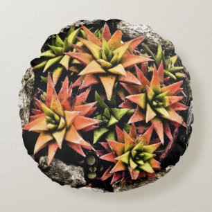LAYERED STAR-SHAPED SUCCULENT PLANT/SALMON & GREEN ROUND CUSHION