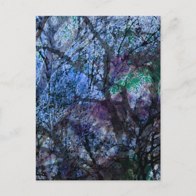 Layered Trees at Twilight Postcard (Front)