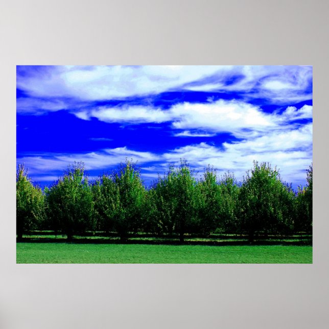 Layers of Nature Poster (Front)