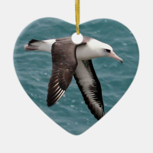 Laysan Albatross Ceramic Tree Decoration