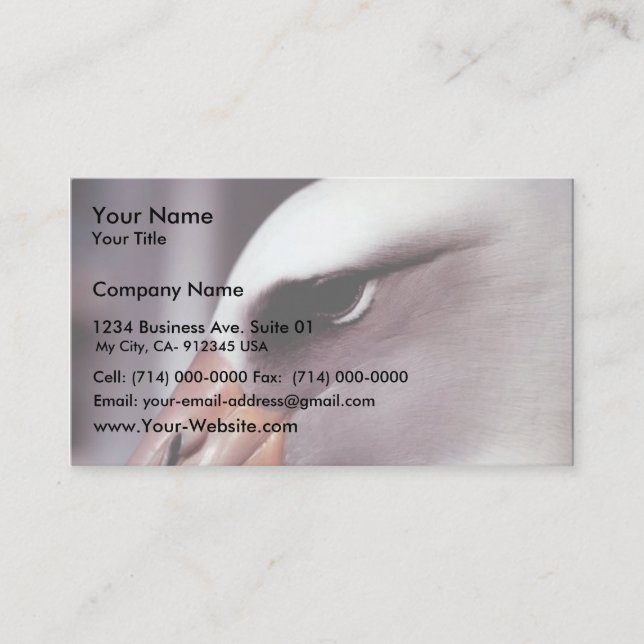 Laysan Albatross Close Up Head Shot Business Card (Front)