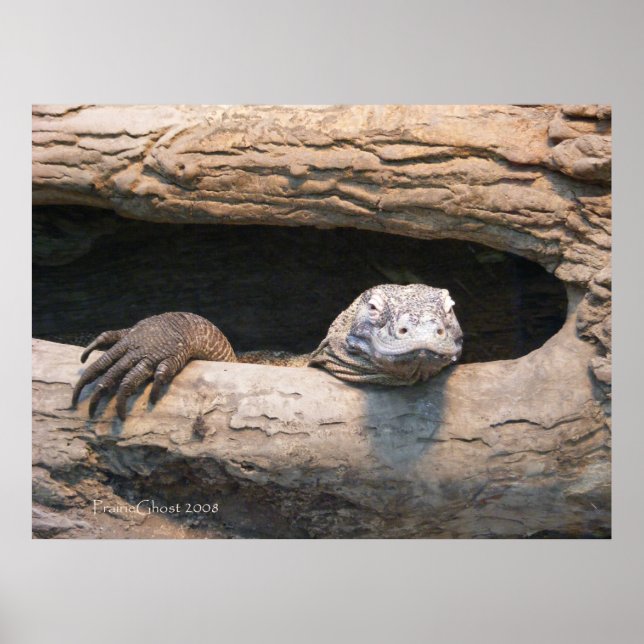 Lazing Komodo Poster (Front)