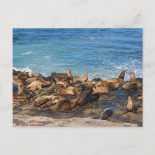 Lazing On A Sunny Afternoon Postcard