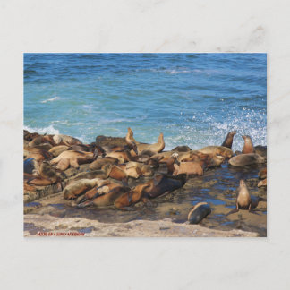 Lazing On A Sunny Afternoon Postcard