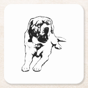 Lazy Afternoon – Labrador Mood Square Paper Coaster