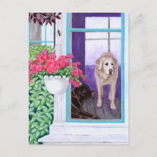Lazy Afternoon Labradors Painting Postcard