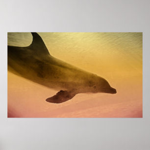 Lazy Afternoon Print