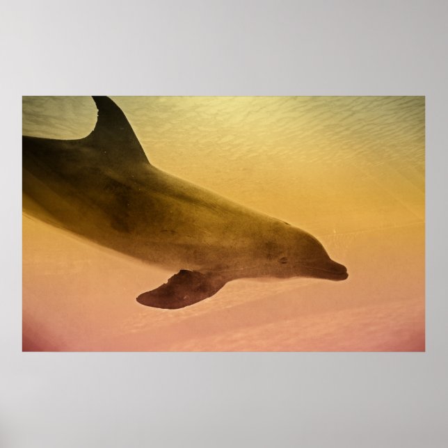 Lazy Afternoon Print (Front)