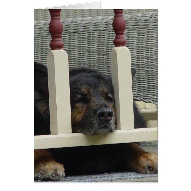 Lazy Afternoon Snooze (Front)