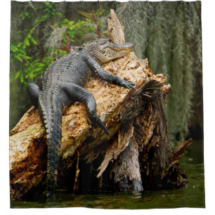 Lazy Alligator Shower Curtain by DeGruy