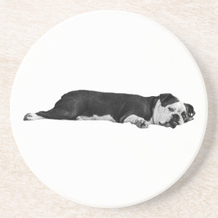 Lazy Bulldog, Neat Table Coaster