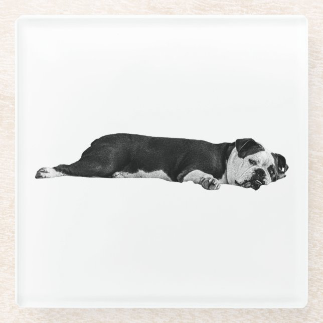 Lazy Bulldog, Neat Table Glass Coaster (Front)