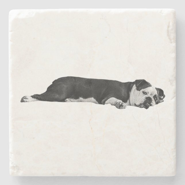 Lazy Bulldog, Neat Table Stone Coaster (Front)
