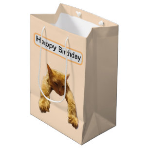 Lazy Cant Be Bothered Fluffy Ginger Cat, Birthday Medium Gift Bag