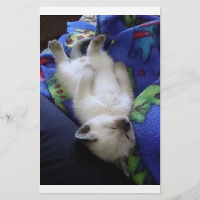 Lazy Cat (Front)