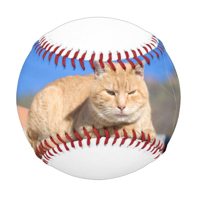 Lazy cat baseball (Front)