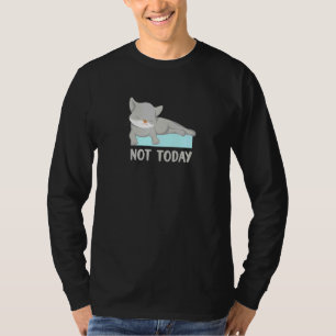 Lazy Cat For Kitten Owners T-Shirt