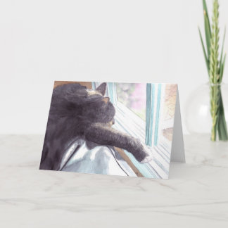 Lazy Cat Greeting Card