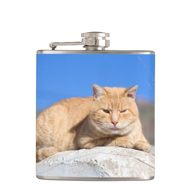 Lazy cat hip flask (Front)