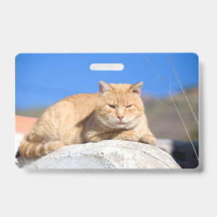 Lazy cat ID badge