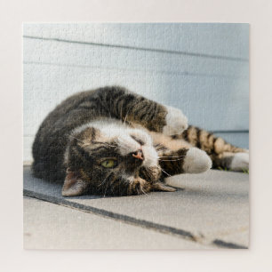 Lazy Cat Lounging on Porch Jigsaw Puzzle
