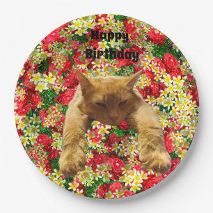 Lazy Cat On Roses, Birthday Paper Plates