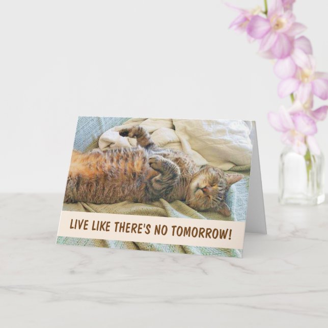 Lazy Cat Philosophy Birthday Card (Orchid)