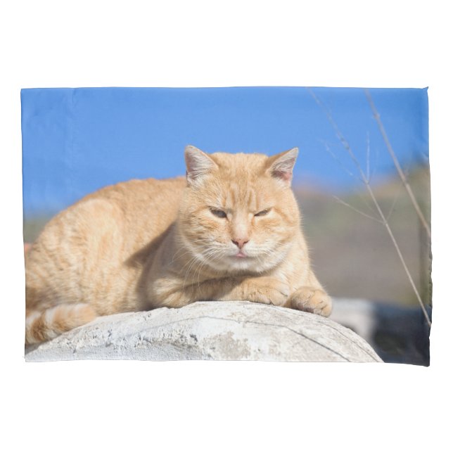 Lazy cat pillowcase (Front)