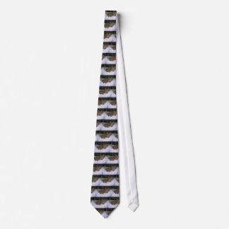 Lazy Cat Tie