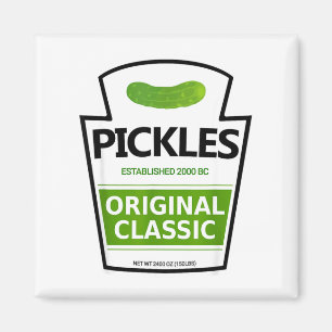 Lazy costume pickle jar magnet