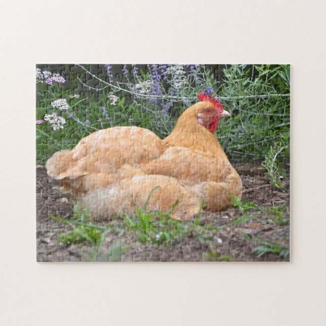Lazy Day Chicken Puzzle (Horizontal)