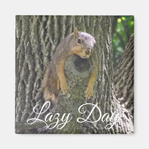 Lazy Day Funny Squirrel sleeping in Tree Magnet