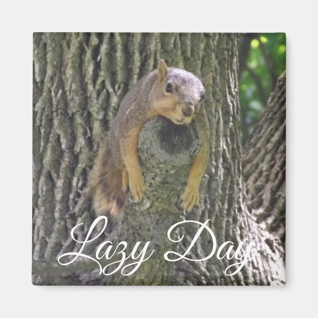 Lazy Day Funny Squirrel sleeping in Tree Magnet (Front)