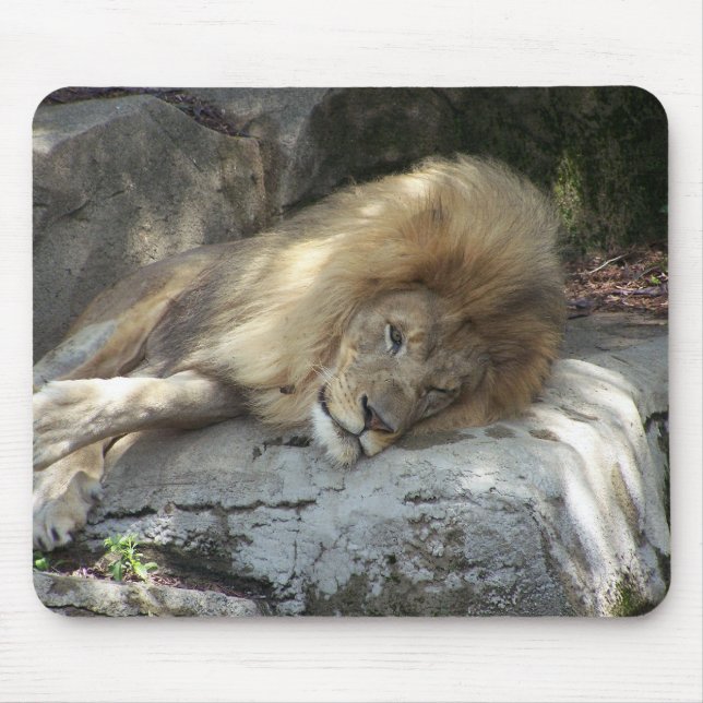 Lazy Days Mouse Mat (Front)