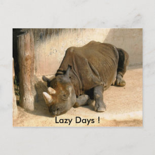 Lazy Days ! Postcard