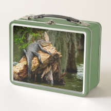 Lazy Gator Cypress Swamp Lunch Box by DeGruy