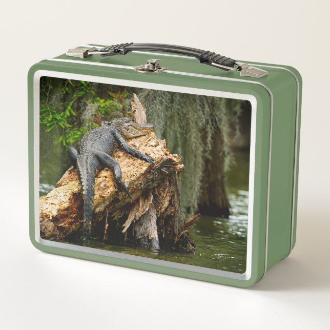 Lazy Gator Cypress Swamp Lunch Box by DeGruy (Front)