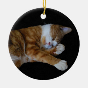 Lazy Ginger cat Ceramic Tree Decoration