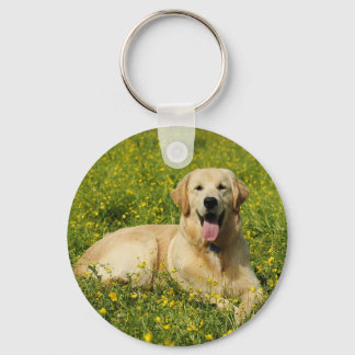Lazy Golden Key Ring