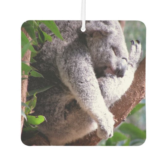 koala air freshener