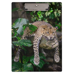 Lazy leopard clipboard
