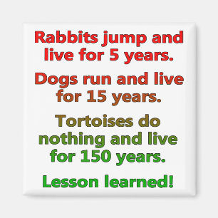 Lazy Lesson Learned Funny Fridge Magnet