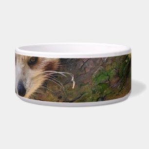 Lazy little red panda